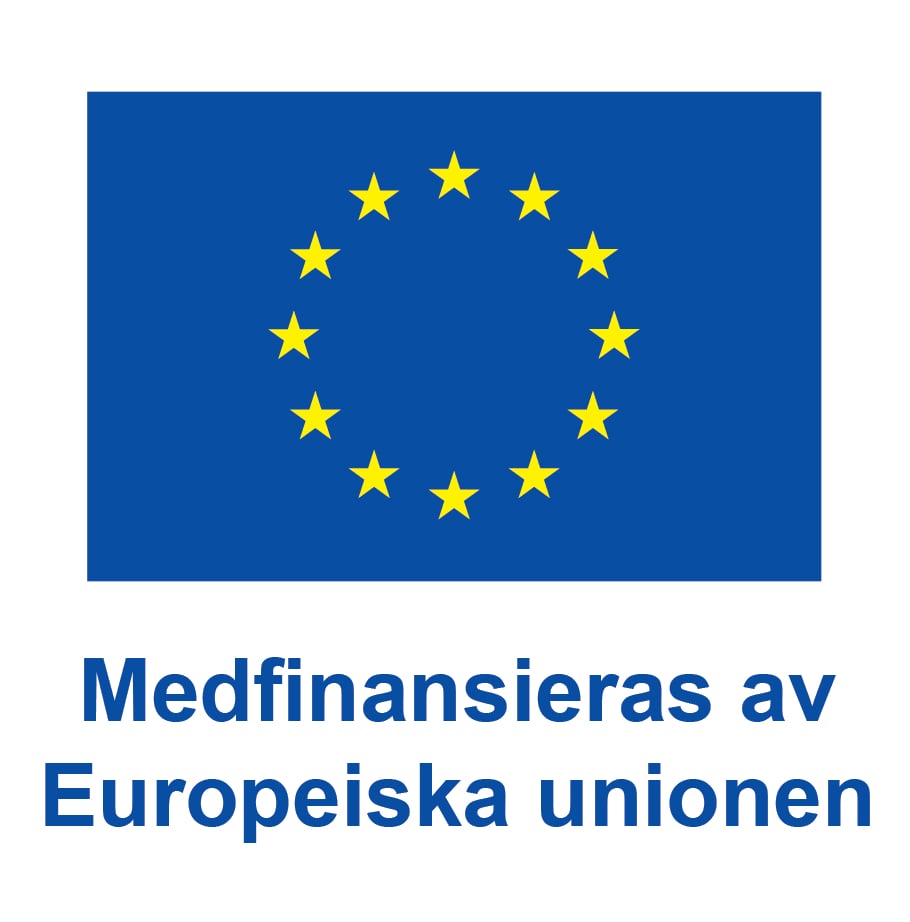 Logotyp - Medfinansieras av Europeiska Unionen