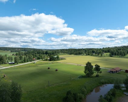 Flygbild över åkrar och hus