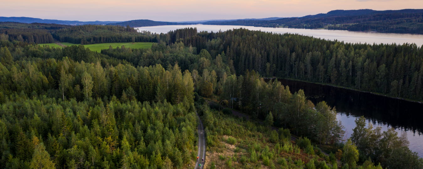 Cirka 100 gymnasieelever i Sunne får kunskap i vilka möjligheter som finns inom skogsnäringen.