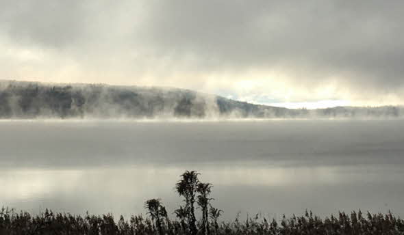 Foto med dimma över sjö