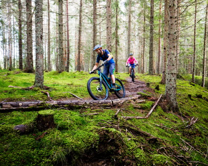Bild på två personer som cyklar i skogen
