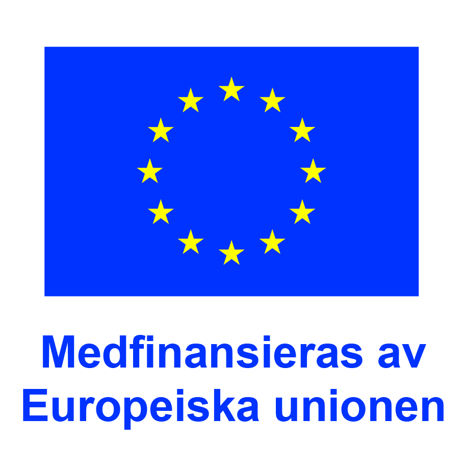 Logotyp - Medfinansieras av Europeiska Unionen
