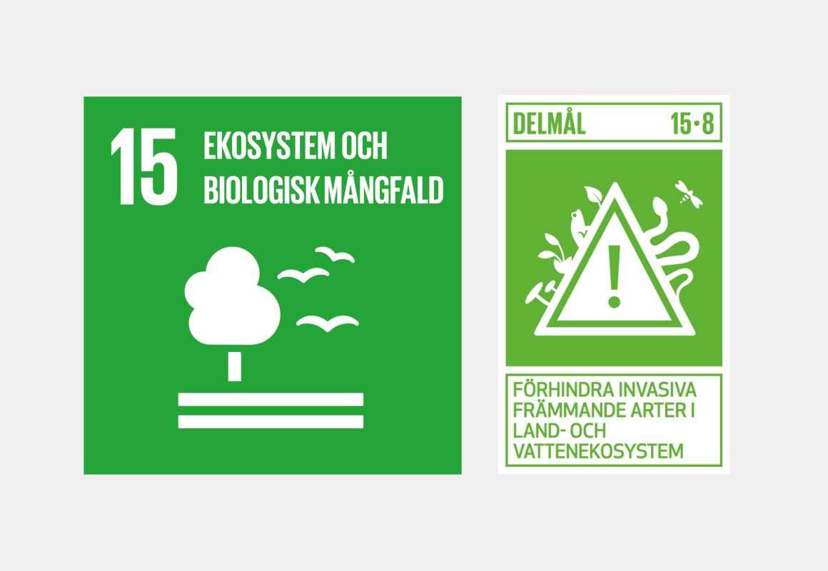 Mål nummer 15 för de Globala målen omfattar ekosystem och biologisk mångfald, där delmålet 15.8 handlar om att förhindra spridningen av invasiva arter.